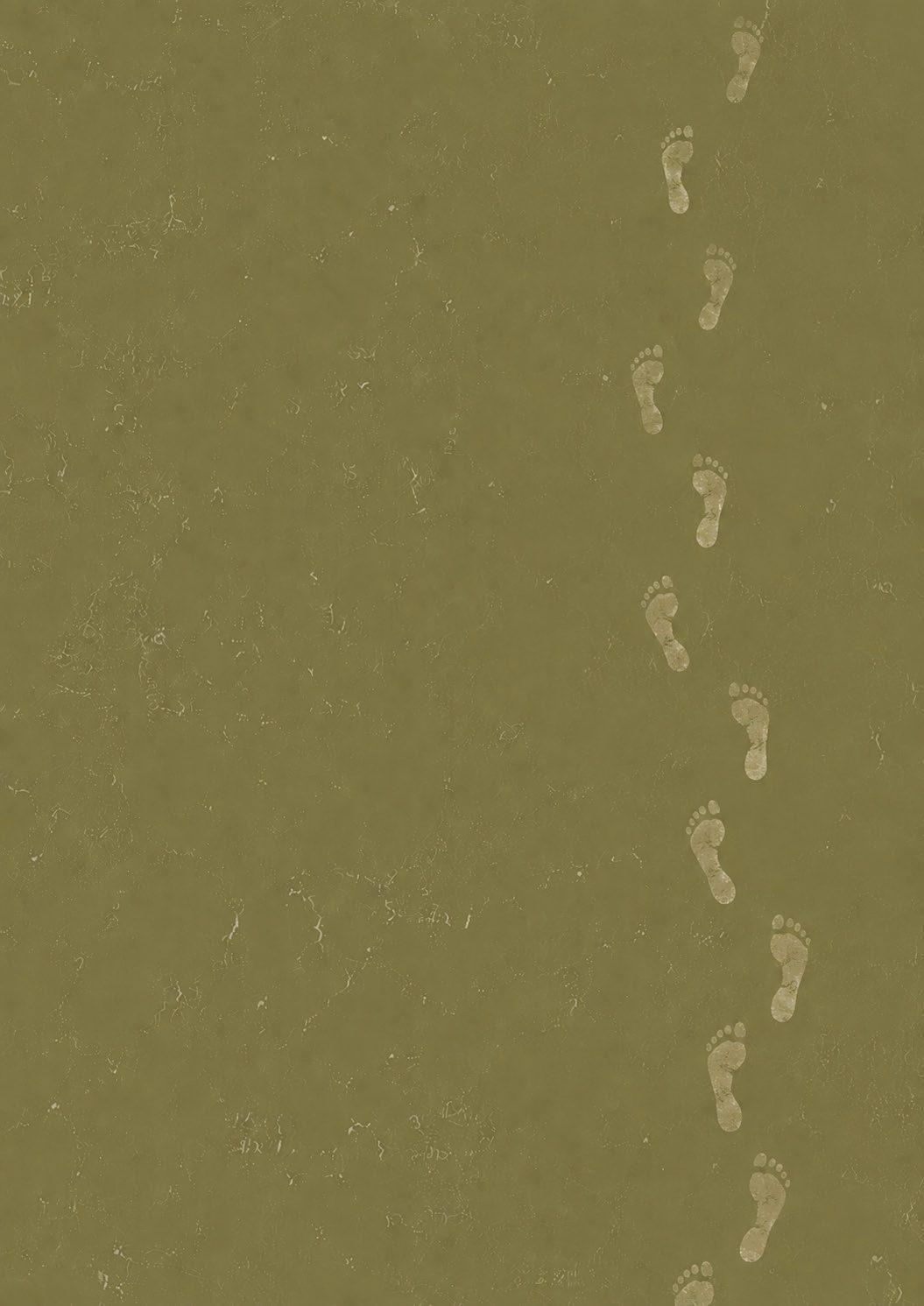 Sacred footsteps, the spirit of Ajaan Baug